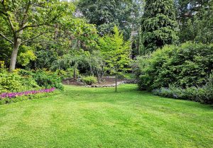 Optimiser l'expérience du jardin à Éleu-dit-Leauwette